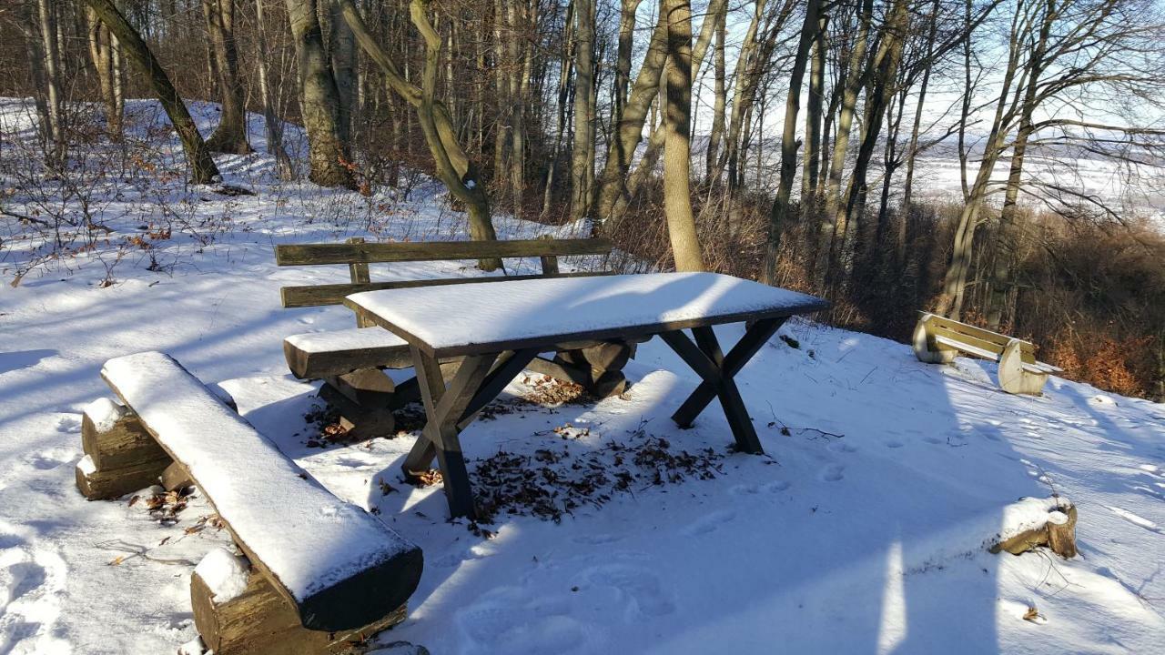 Ferienwohnung Bleicherode Kültér fotó