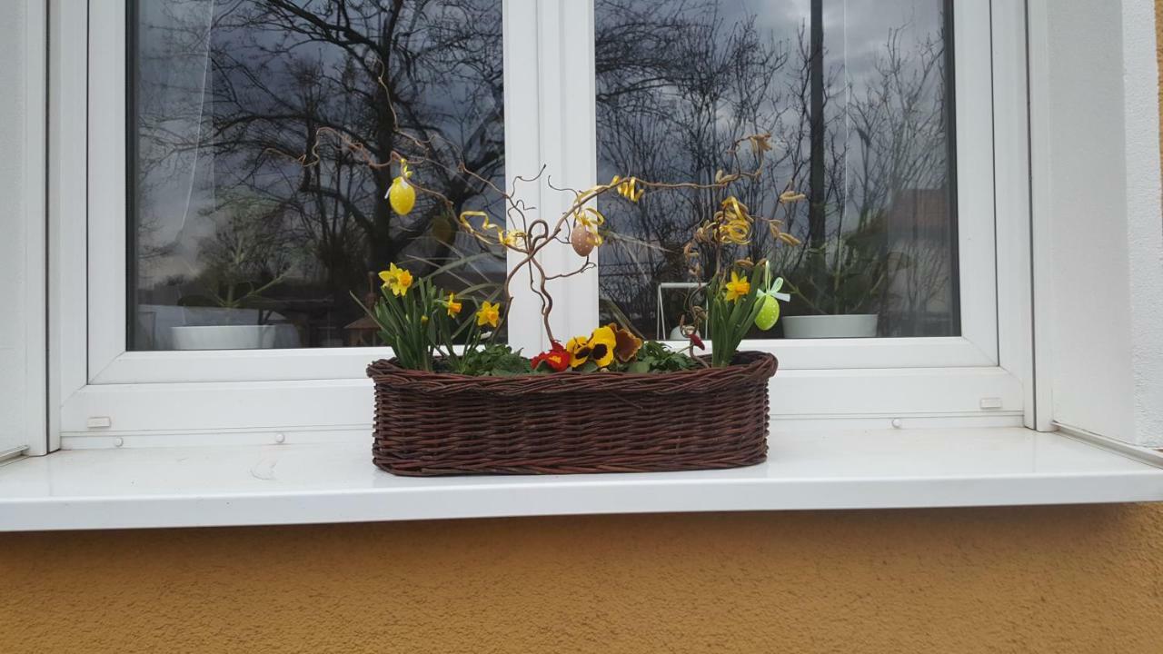 Ferienwohnung Bleicherode Kültér fotó